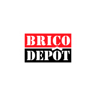 logo Brico Depot