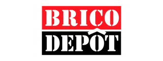 Logo Brico Depot