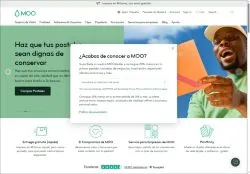 Moo agosto 2026