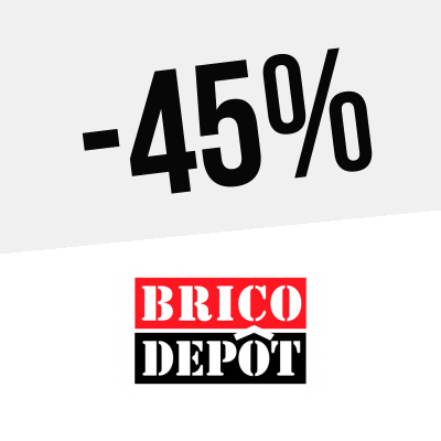 Logo Brico Depot
