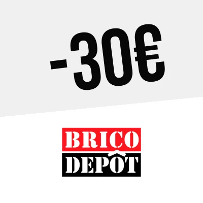 Logo Brico Depôt