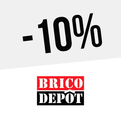 Logo Brico Depôt