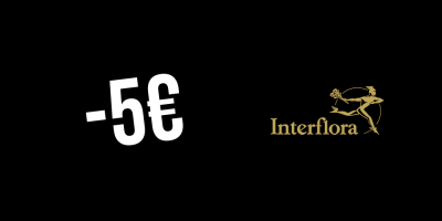 5€ de descuento en Interflora — Suscríbete al newsletter